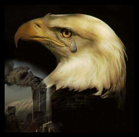 Eagle Crying